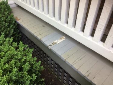 Painting and Repairs Lexington