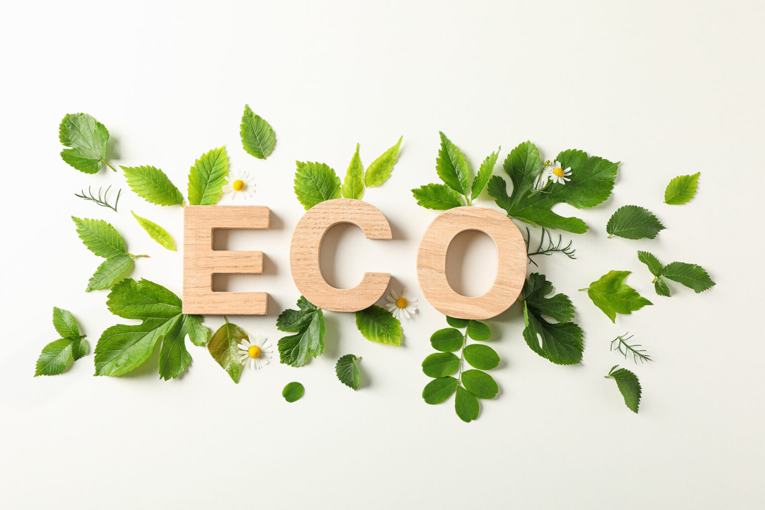 Understanding our EPA Certification for Lead Paint Abatement My Three