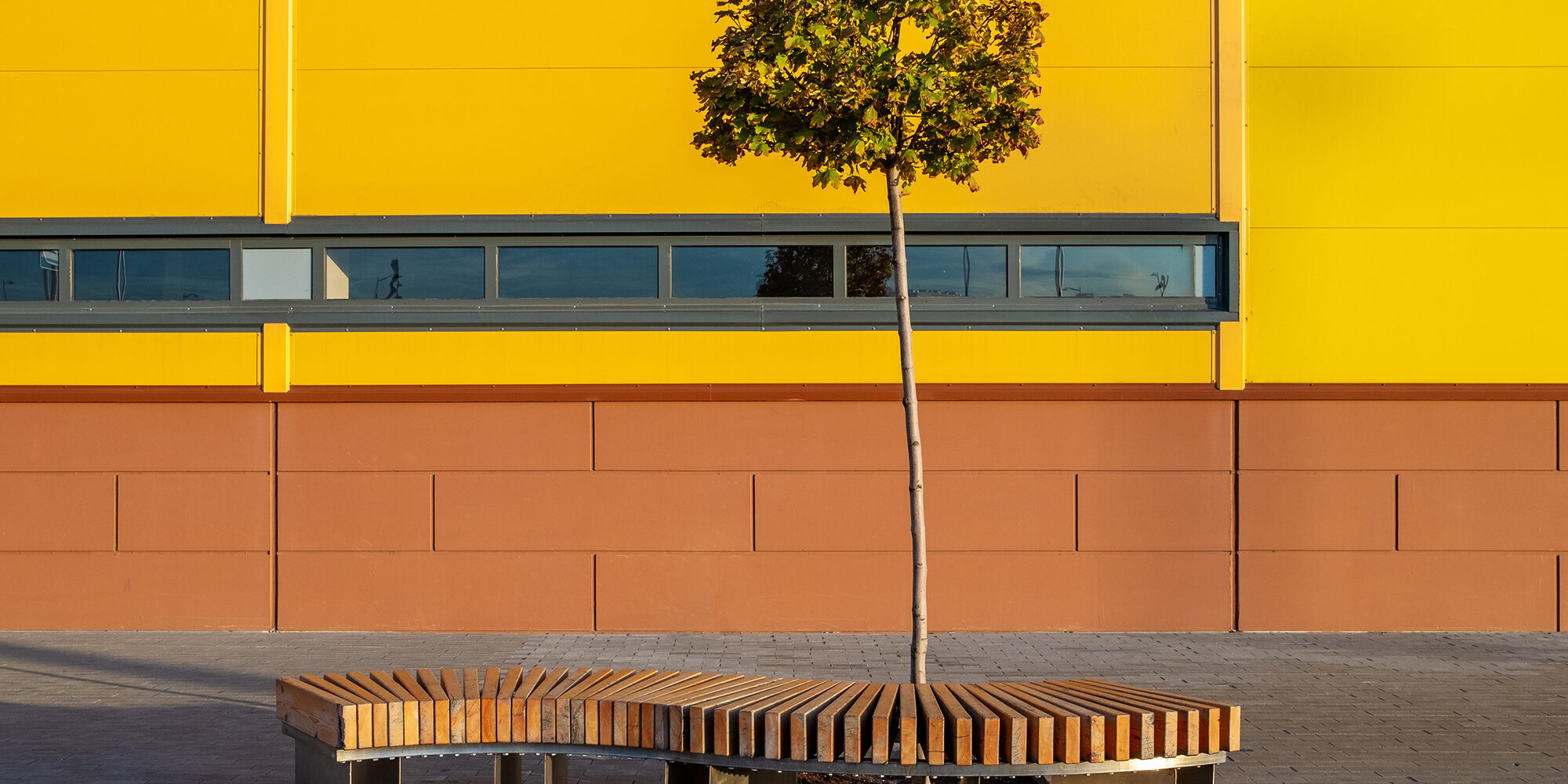 A curved wooden bench and a lonely small tree near the yellow wall of an industrial building on a sunny autumn day.