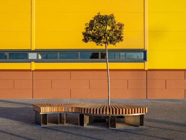 A curved wooden bench and a lonely small tree near the yellow wall of an industrial building on a sunny autumn day.